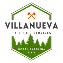 Logo of Villanueva Tree Services, trusted tree removal and trimming company in Asheville, North Carolina
