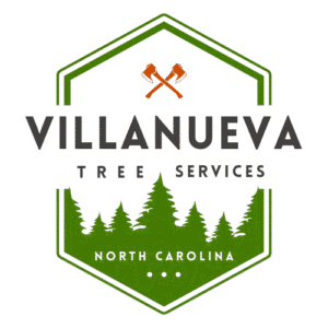 Logo of Villanueva Tree Services, trusted tree removal and trimming company in Asheville, North Carolina